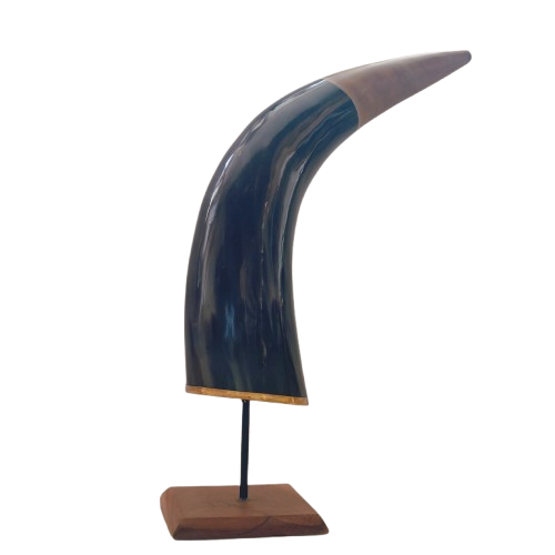 Natural 13-inch Buffalo Horn Decorative Showpiece for Home Décor thumbnail 1